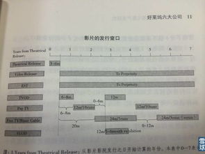 澳门天天开奖正版免费资料|多元化方案执行策略_未来版IP.4.669