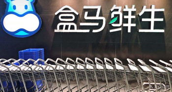 2024今晚香港开特马第26期|探索未知的奇妙世界_uShop.0.907